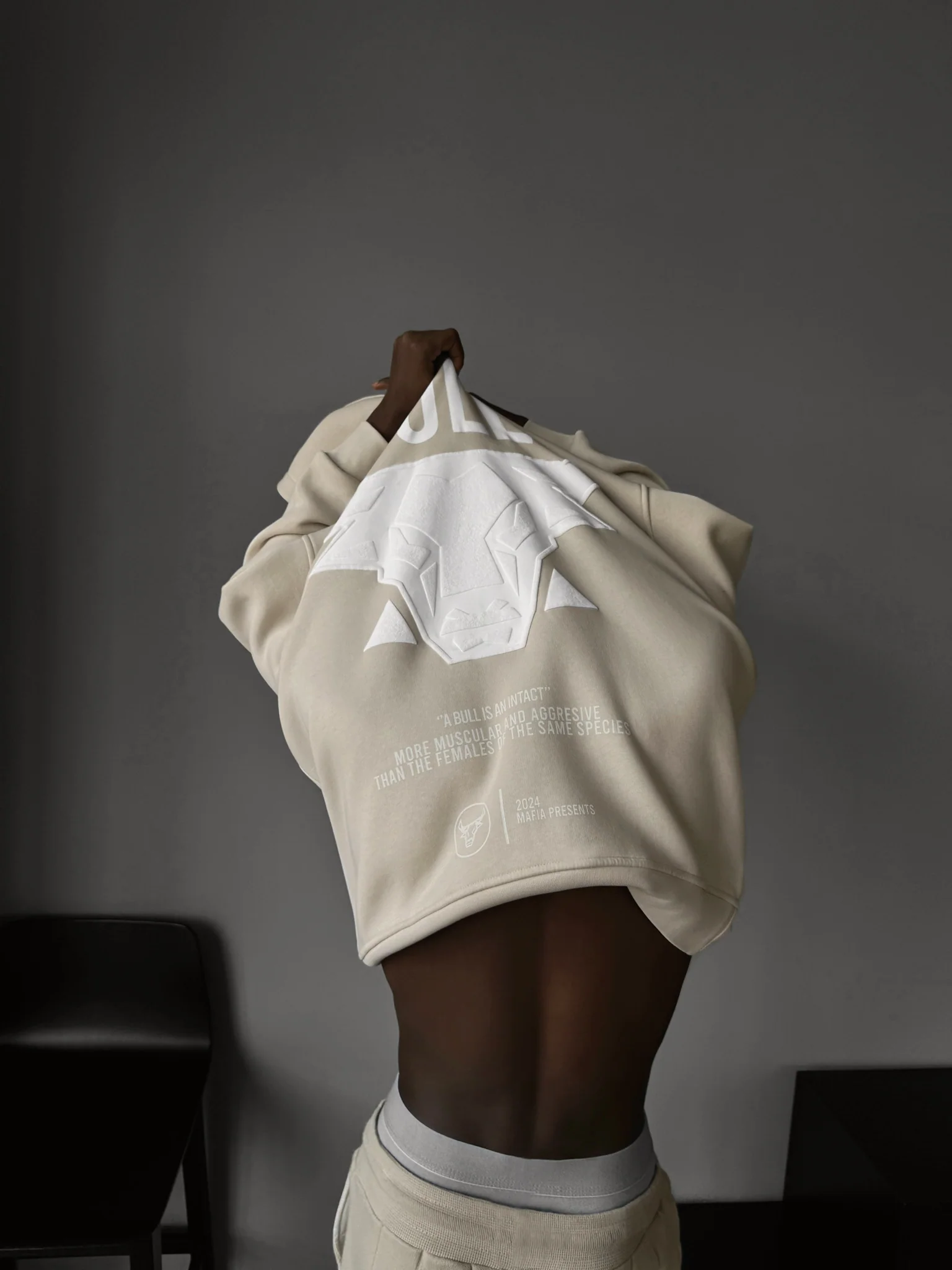 Oversize Bull Hoodie - Bleached Sand - Image 2
