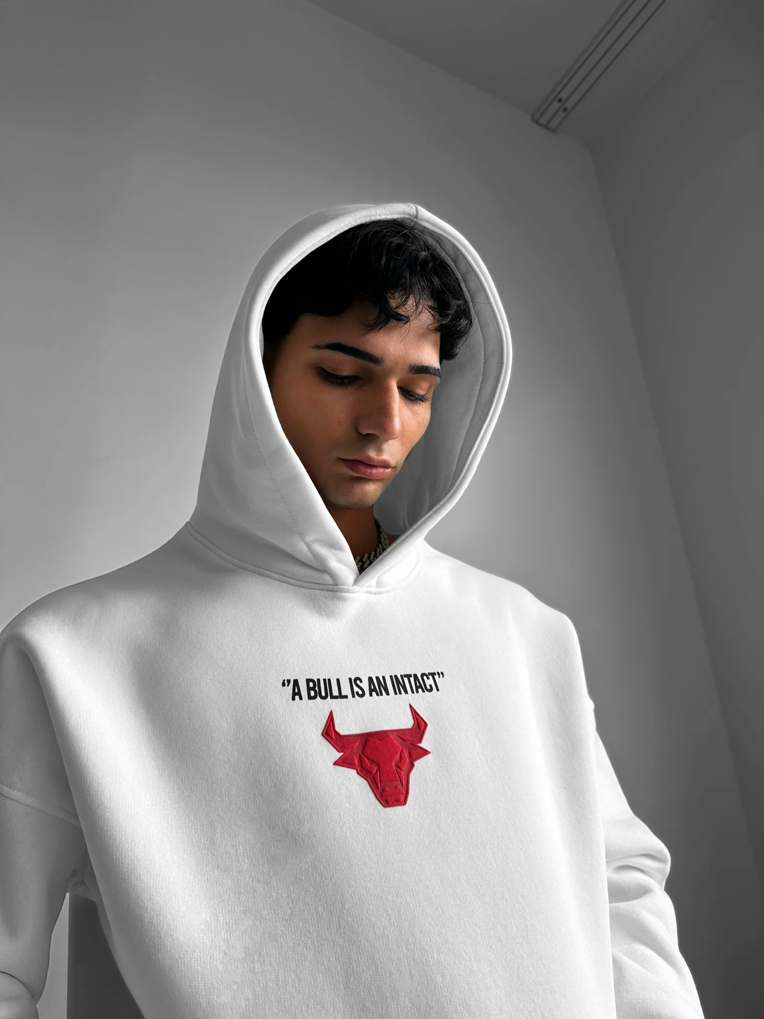 Oversize Bull Hoodie - Off White - Image 5