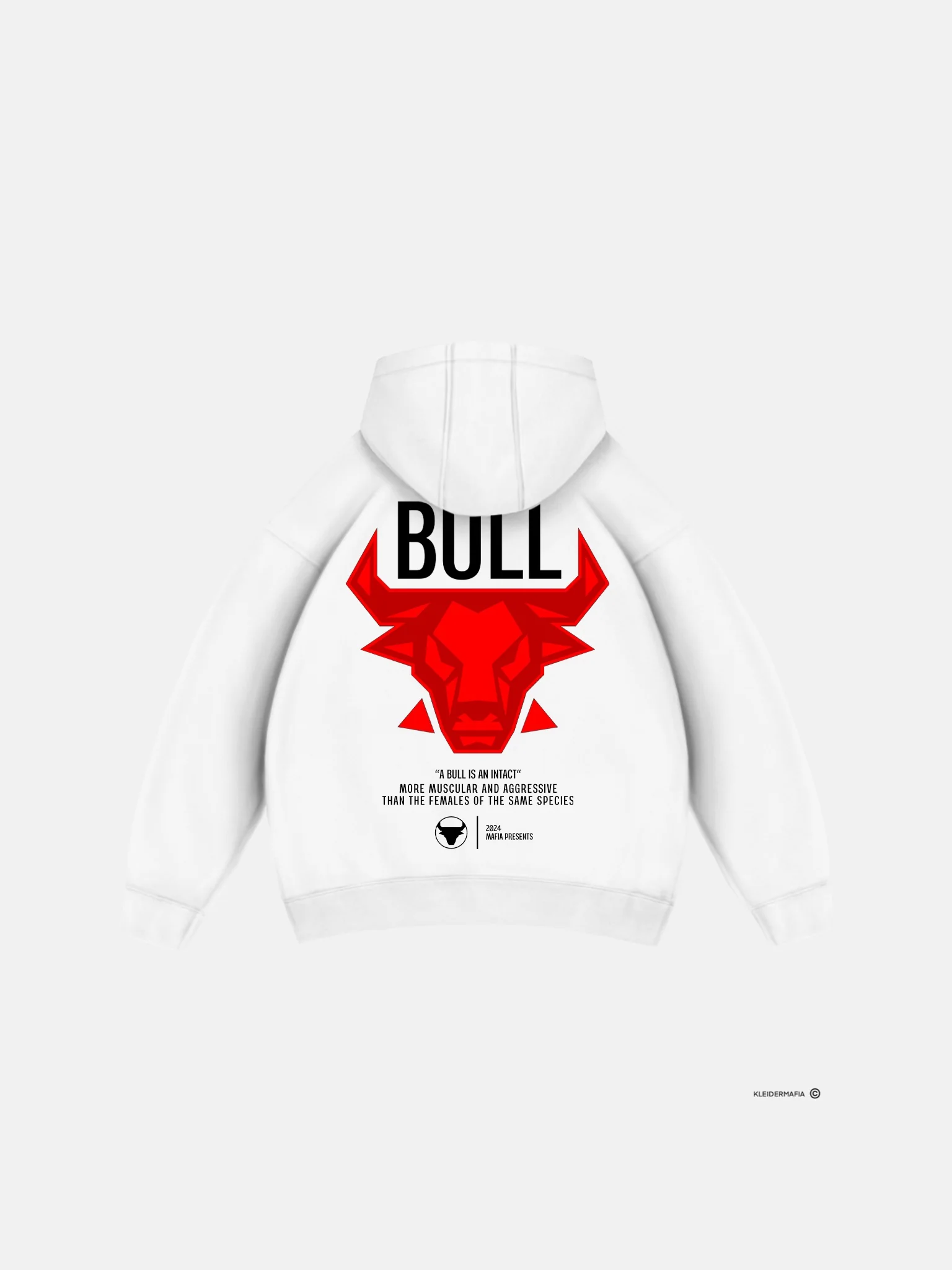 Oversize Bull Hoodie - Off White - Image 7