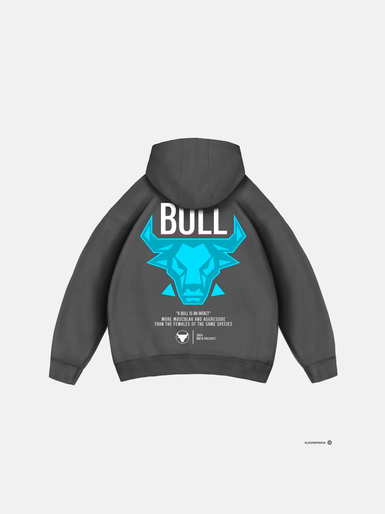 Oversize Bull Hoodie - Tornado Grey - Image 5
