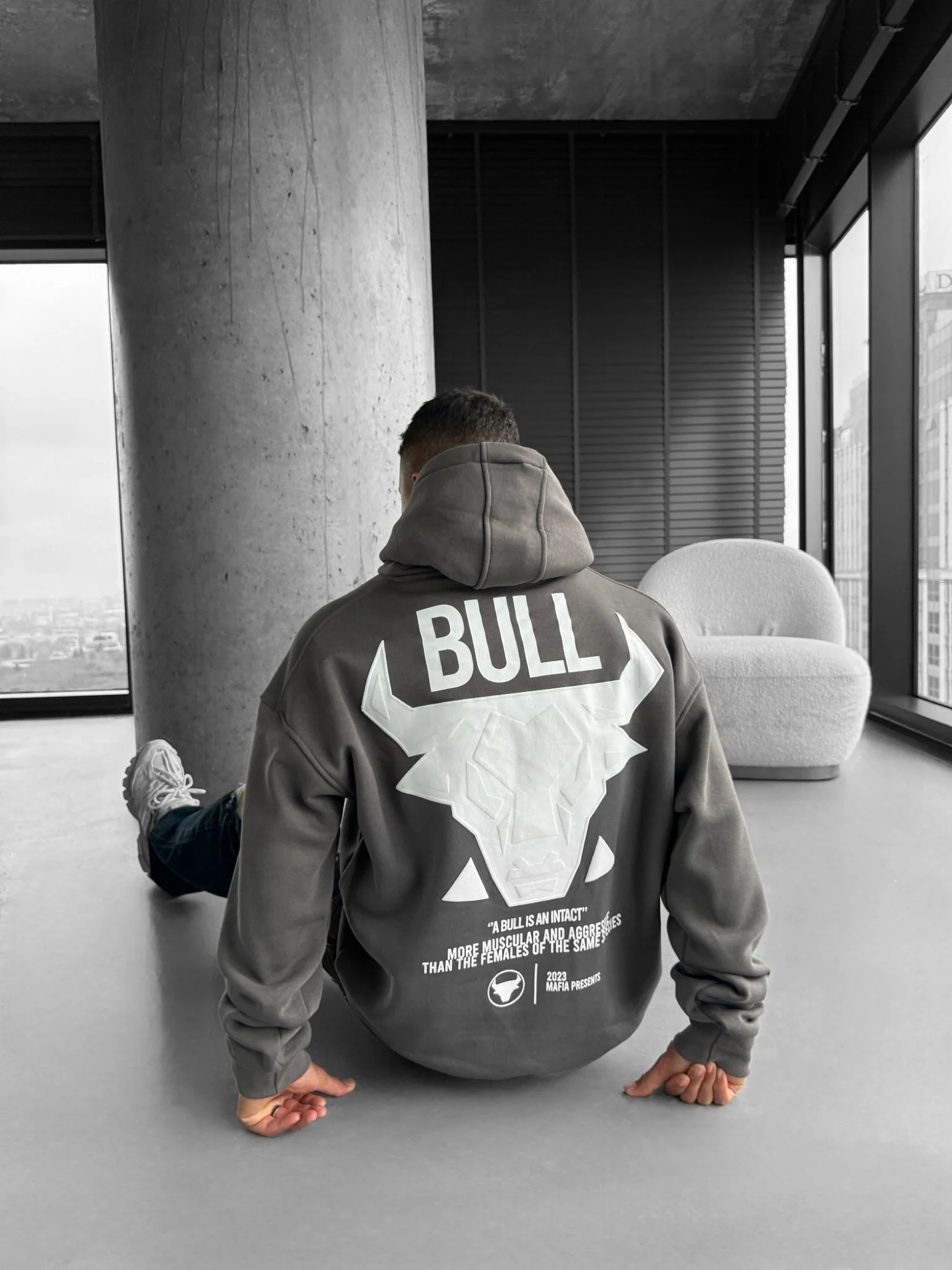 Oversize Bull Hoodie - Anthracite - Image 2