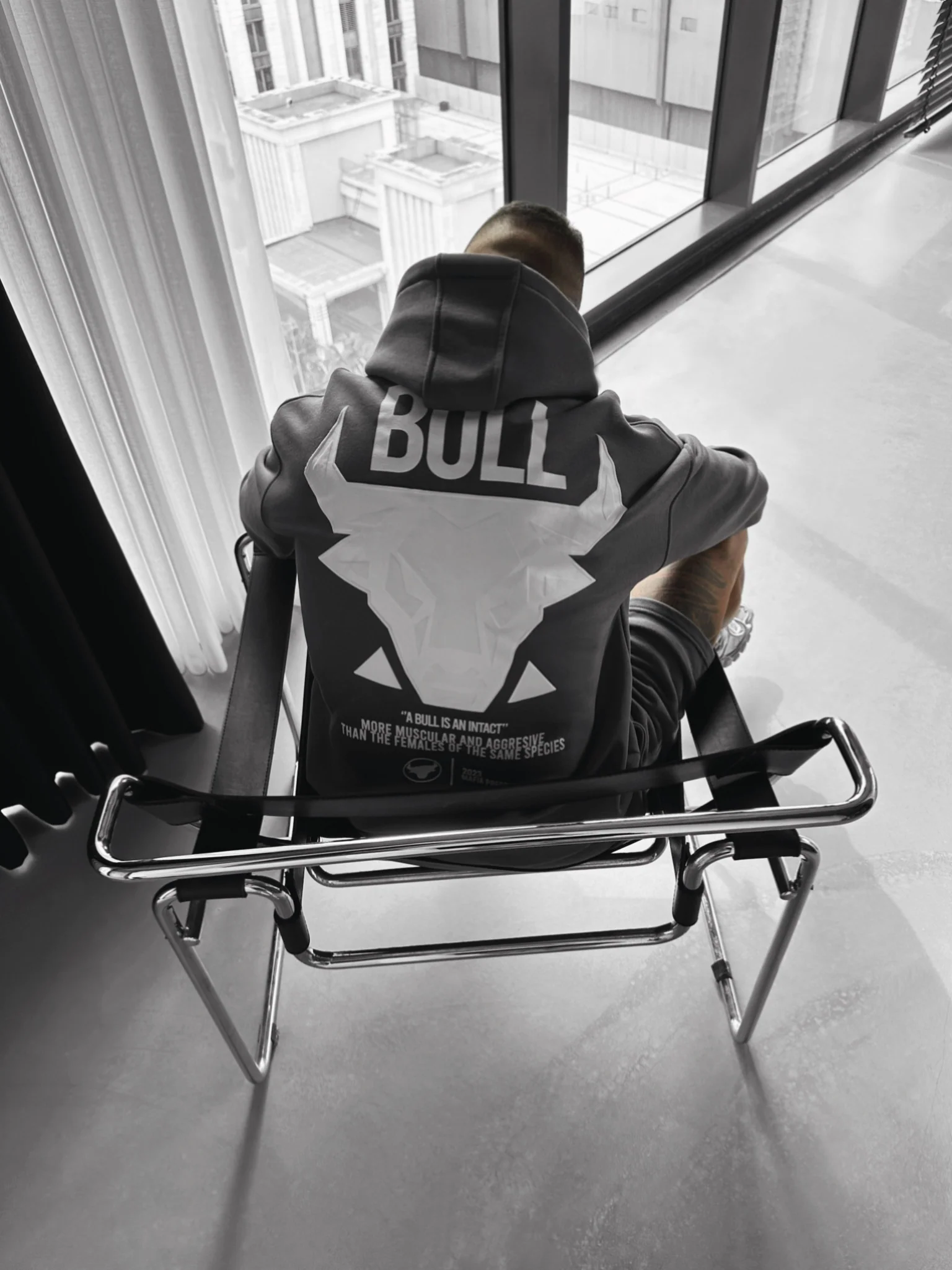Oversize Bull Hoodie - Anthracite - Image 3