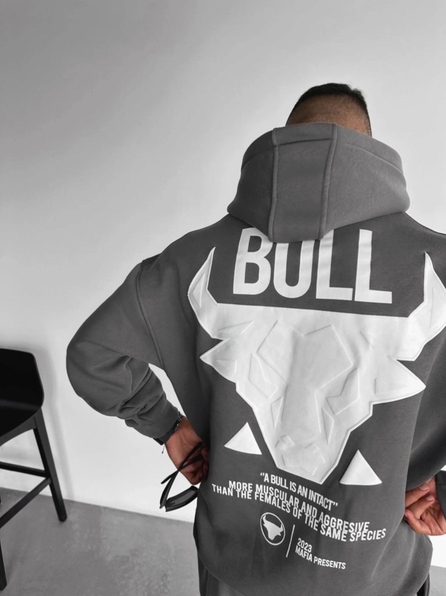 Oversize Bull Hoodie - Anthracite - Image 4