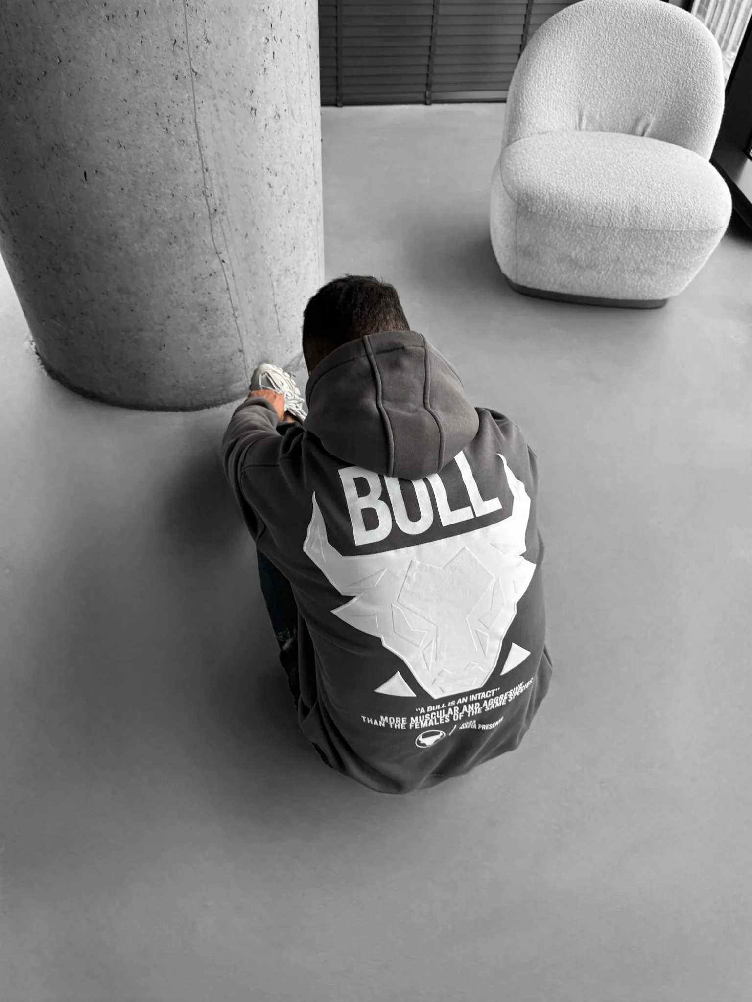 Oversize Bull Hoodie - Anthracite - Image 6