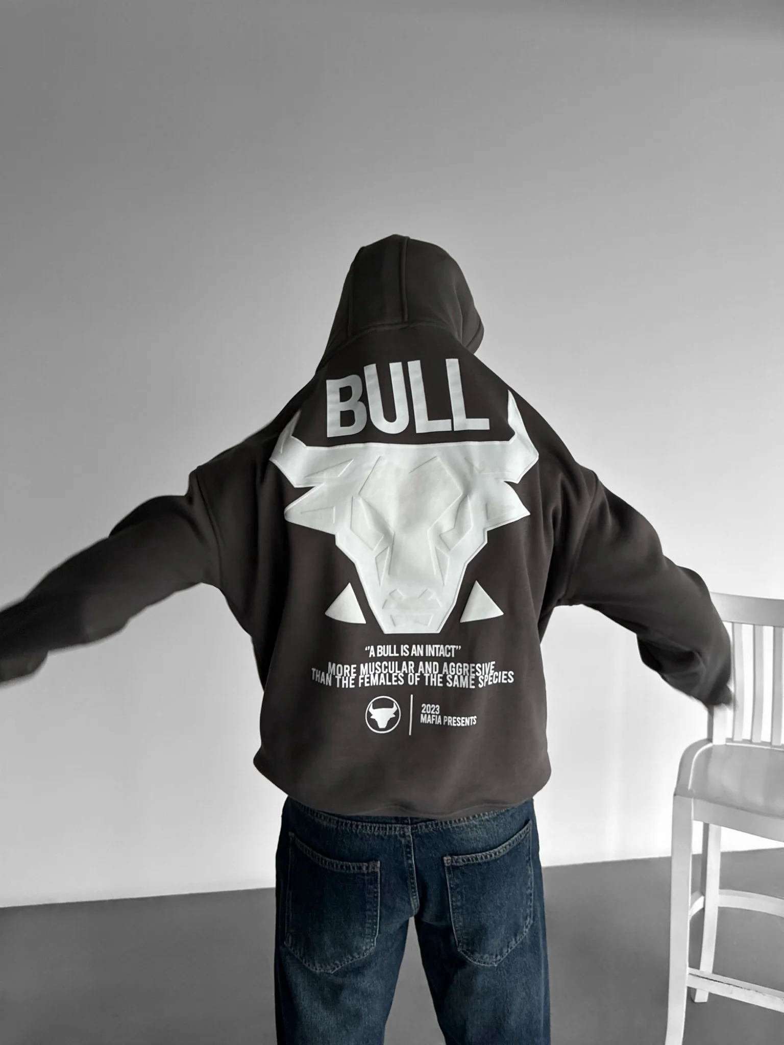 Oversize Bull Hoodie - Anthracite - Image 7