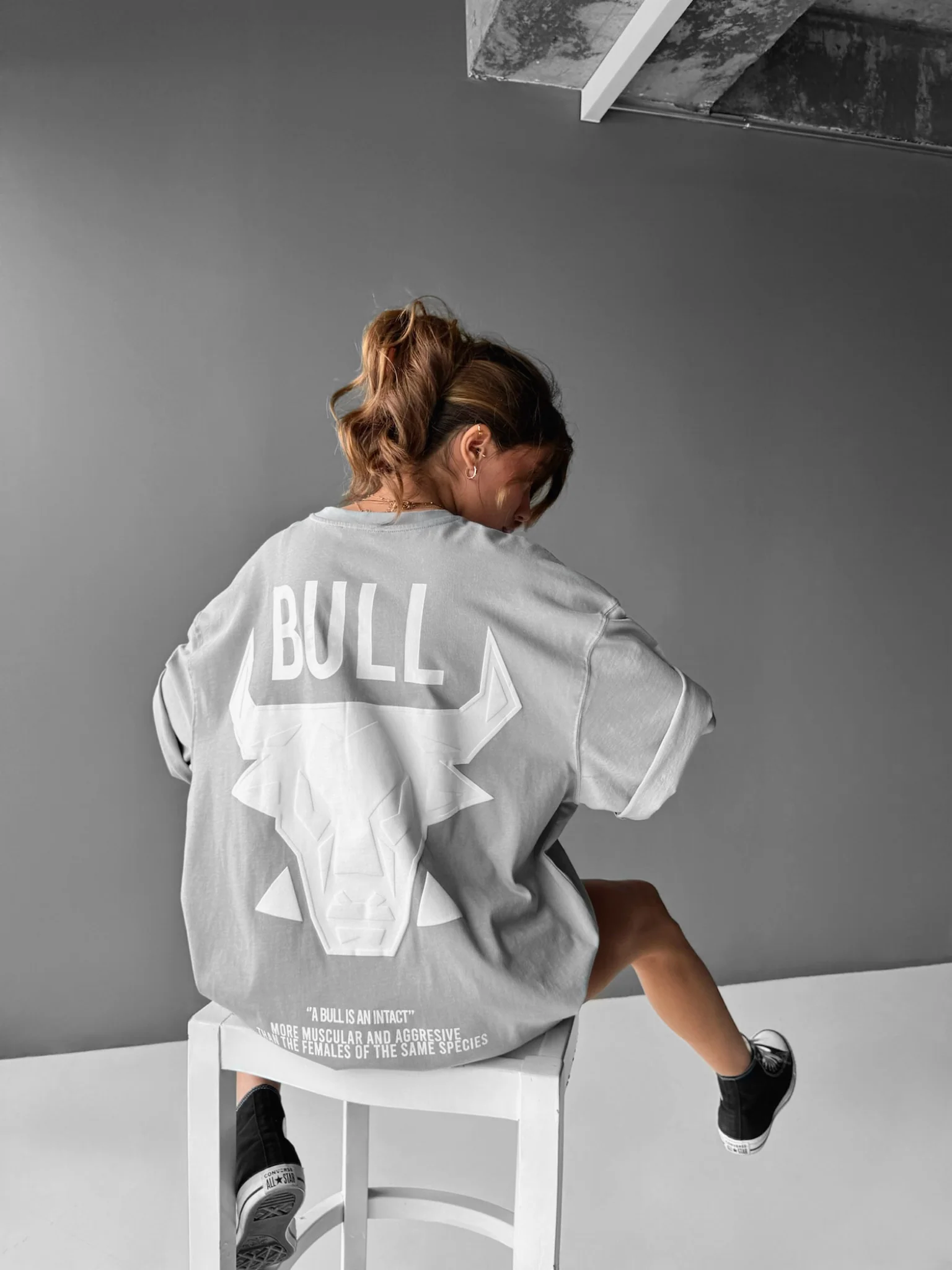 Oversize Bull T-shirt - Grey - Image 4