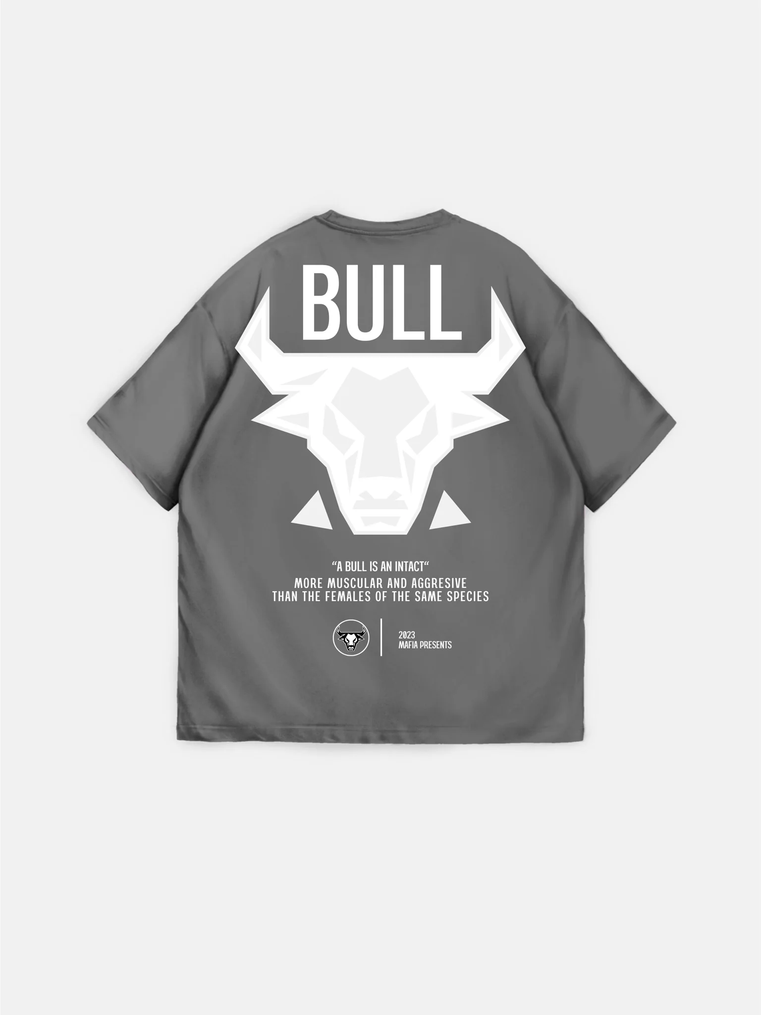 Oversize Bull T-shirt - Grey - Image 6