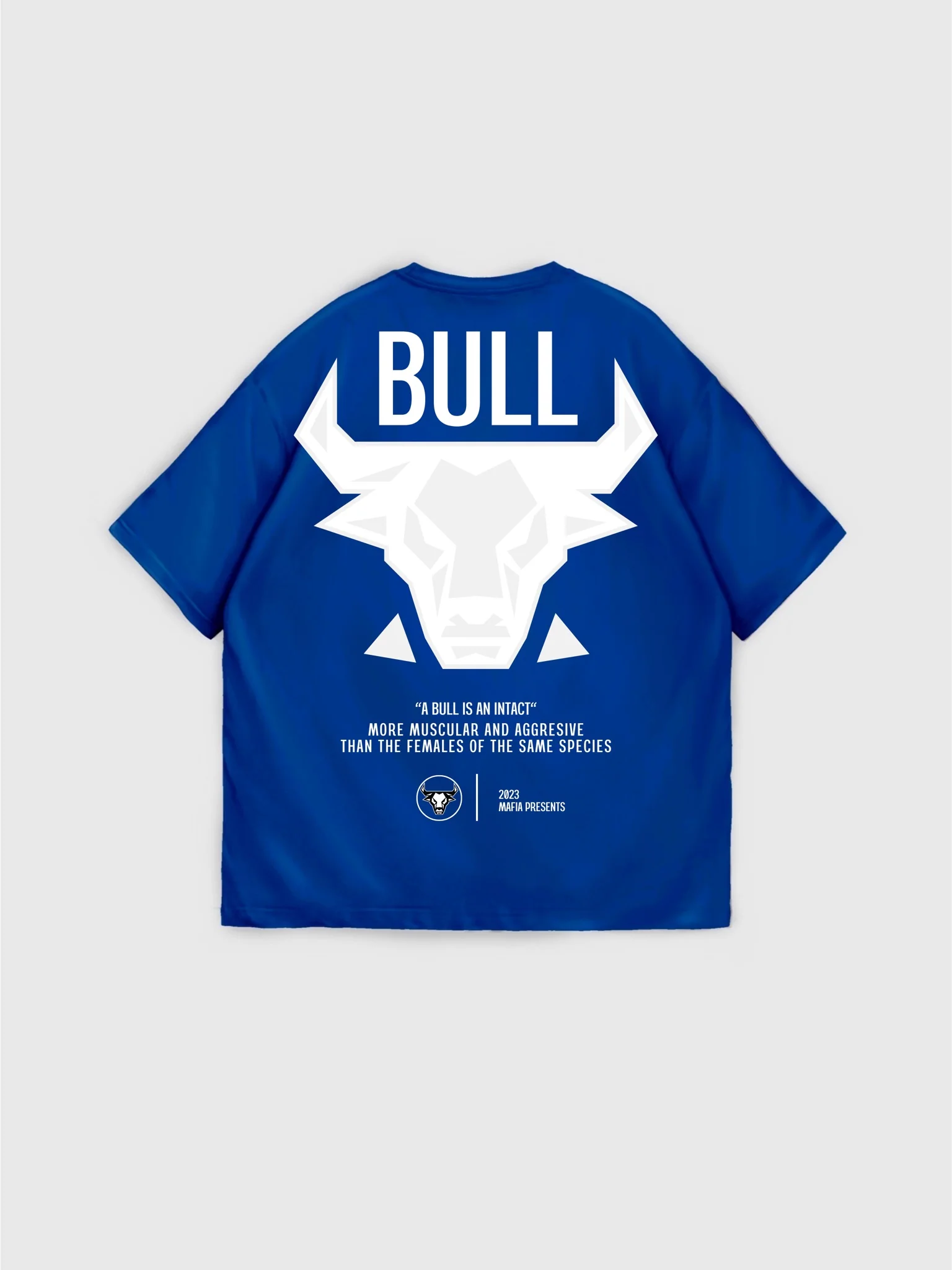 Oversize Bull T-shirt - Saks - Image 2