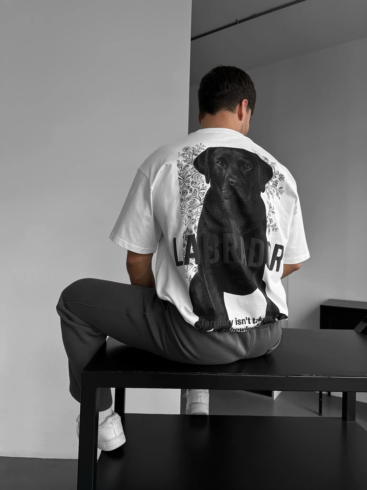 Oversize Labrador T-shirt - Ecru - Image 3