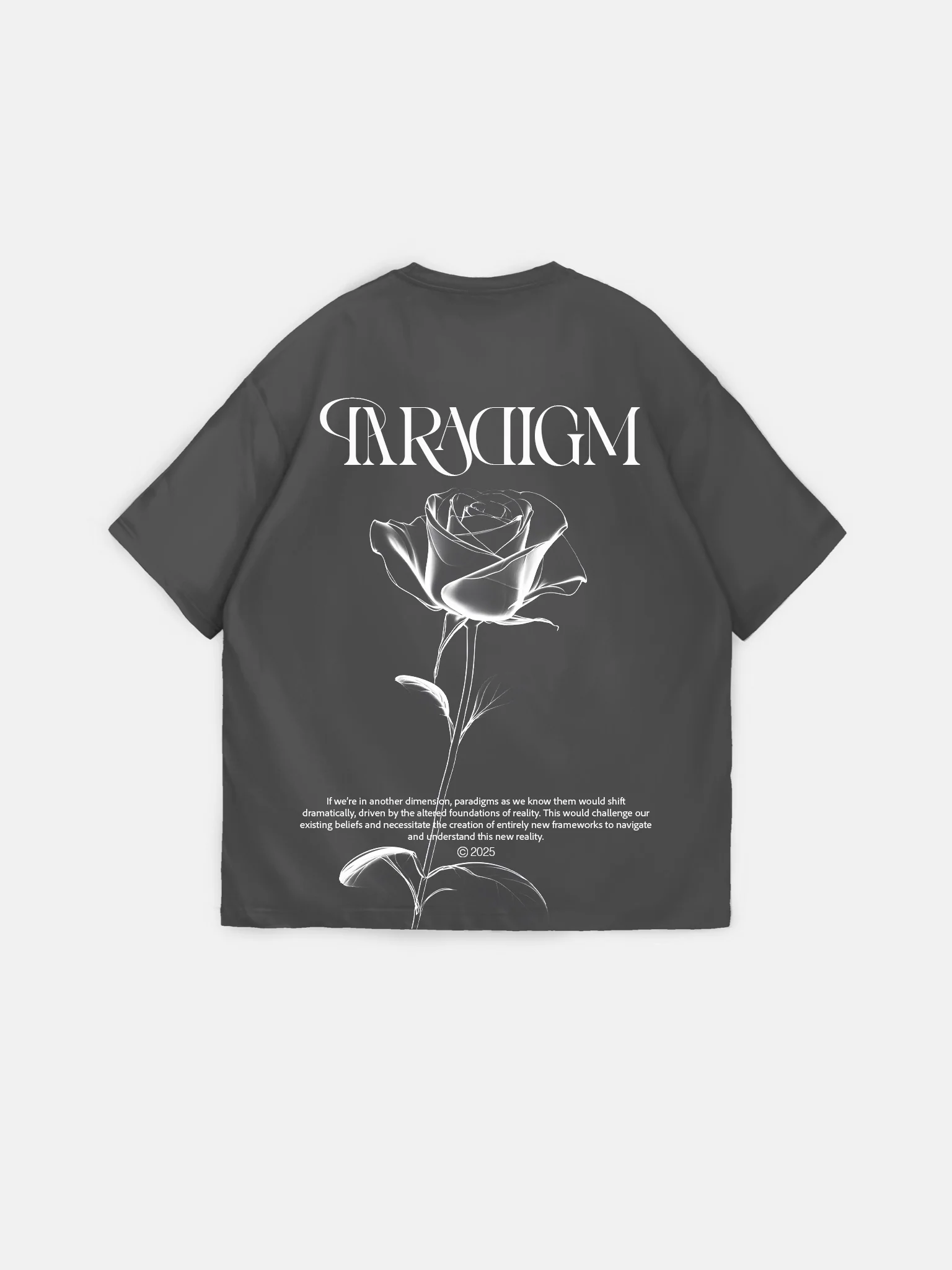 Oversize Paradigm T-Shirt - Anthracite - Image 5