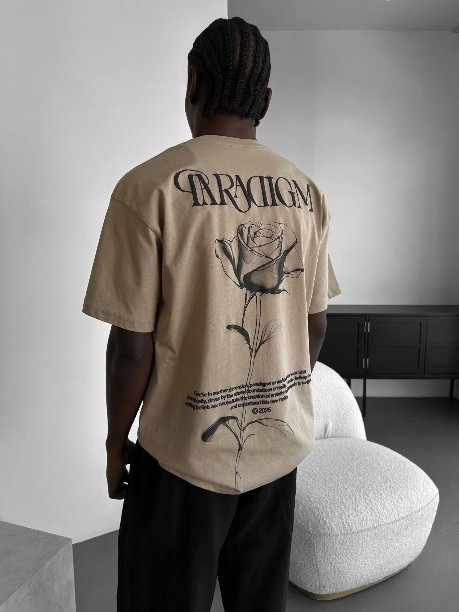 Oversize Paradigm T-Shirt - Beige - Image 2