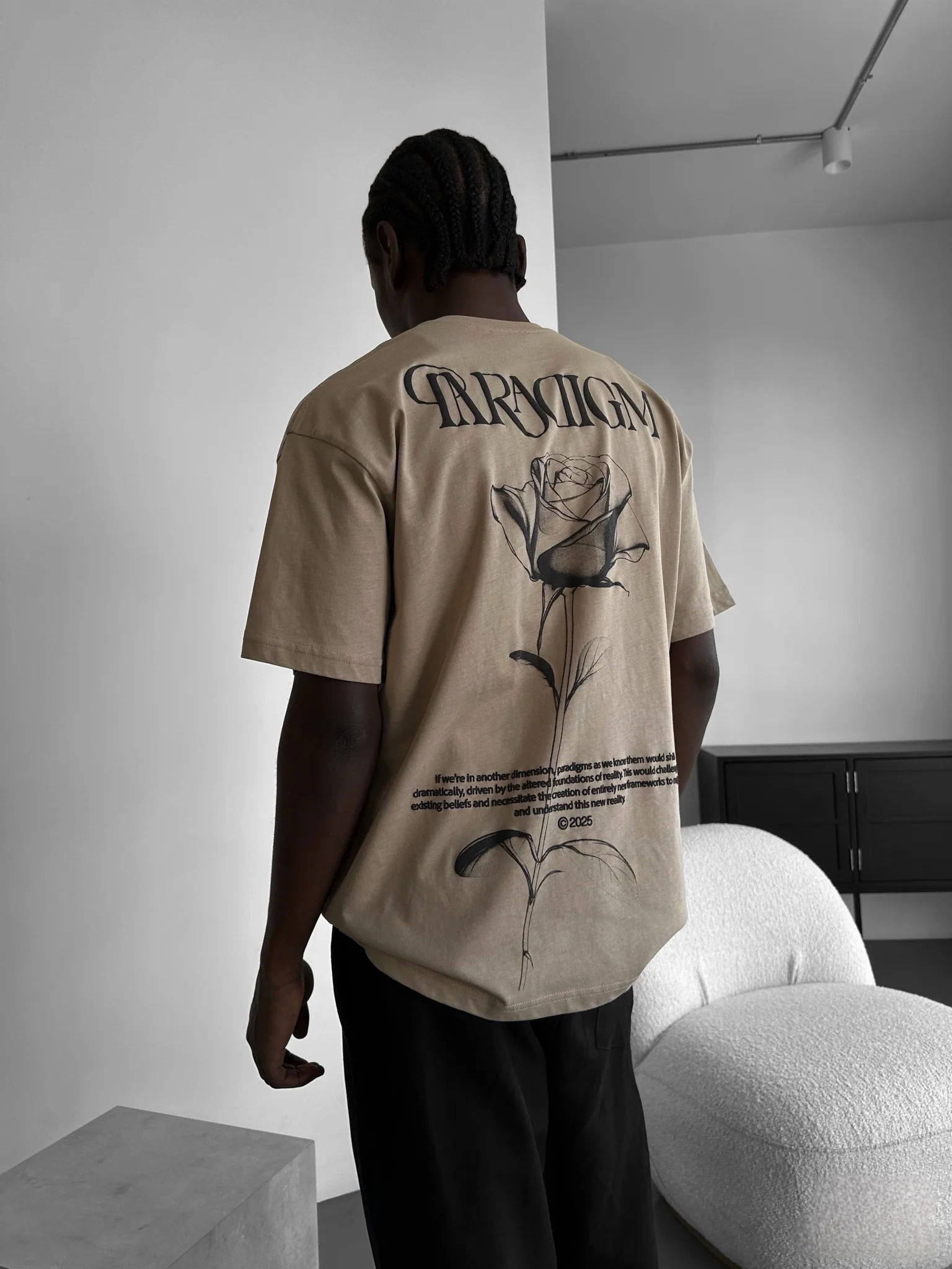 Oversize Paradigm T-Shirt - Beige - Image 3