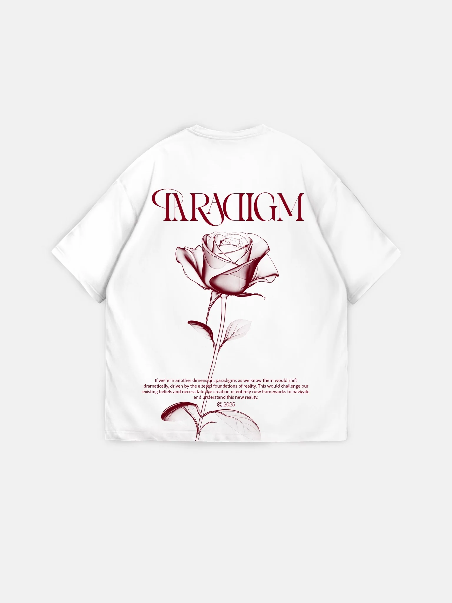 Oversize Paradigm T-Shirt - Ecru - Image 6