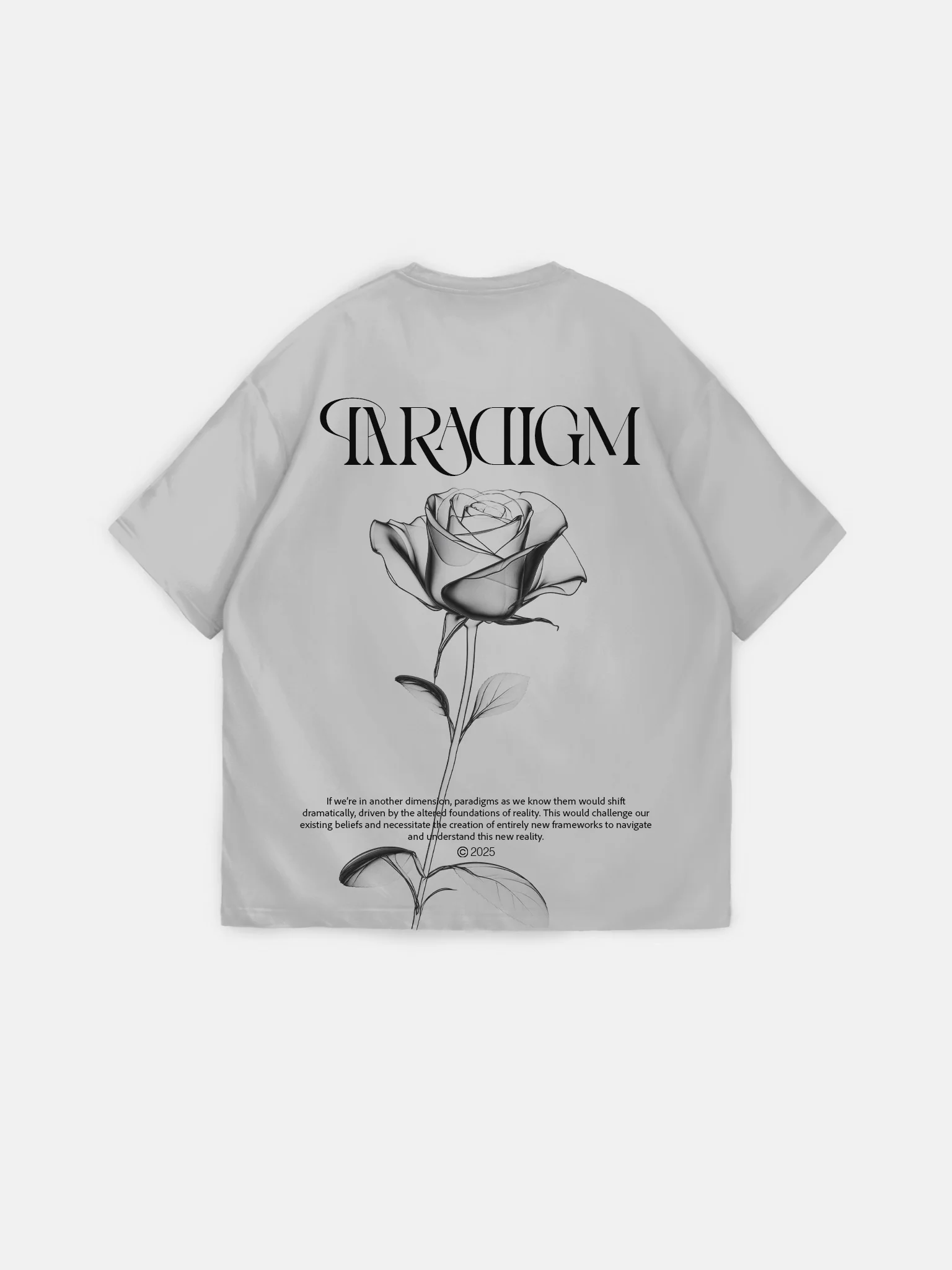 Oversize Paradigm T-Shirt - Grey - Image 5